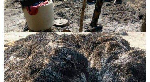 दबंगो ने घर में घुंस कर महिलाओं को पीटा, सामान लुट कर लगाईं घर में आग, चार पर मुकदमा दर्ज