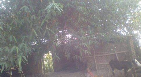 भाई ने मारा भाई का हक़, पत्रकार को दी जान माल की धमकी