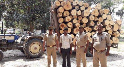 अवैध लकडी के 70 बोटो समेत एक गिरफ्तार