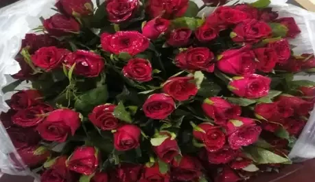 71वें जन्मदिन के मौके पर लालू को बधाई देने वालों का लगा तांता, एनडीए के बड़े नेताओं ने भी स्वस्थ और दीर्घायु होने की की कामना