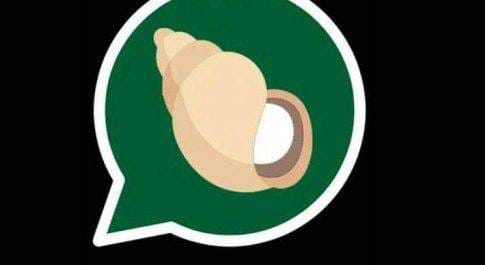 बाबा रामदेव ने लॉन्च किया किम्भो मैसेजिंग एप्लिकेशन,WhatsApp को देगा टक्कर
