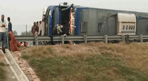13 गायों की मौत पर मचा बवाल, एसपी ने कहा – खेत में मक्का सेवन से हुई मौत