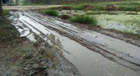 विकास कायों की हकीकत बता रही है गांव की सड़कें