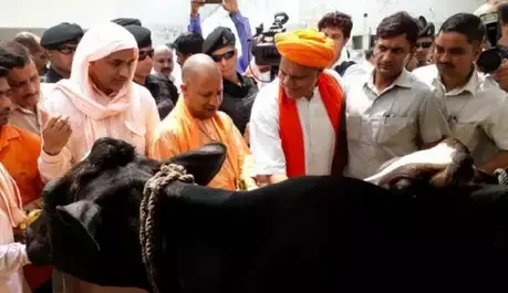 सीएम योगी दो दिवसीय दौरे पर पहुंचे वाराणसी,खिलाया गाय को चारा और की काशी के प्रबुद्ध जनों से मुलाकात