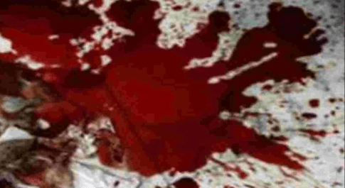 धारदार हथियार से युवती की गला काटकर की हत्या,मचा हडकंप 