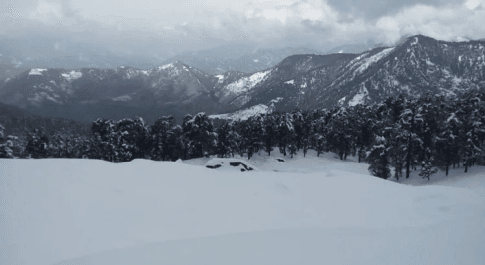 बर्फबारी ने बढाई दुशवारियाँ,दाने दाने को मोहताज है118 परिवार 
