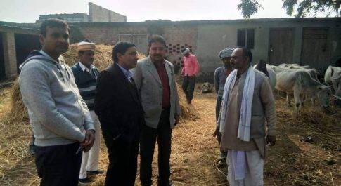 एडीएम व सीवीओ ने किया अस्थायी गोवंश आश्रय स्थल बिलासपुर का निरीक्षण 
