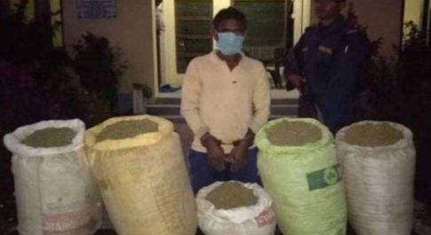 30 किलो गांजे के साथ नेपाली तस्कर गिरफ्तार
