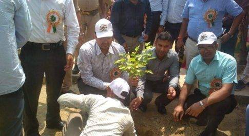 रेशम फार्म कल्पीपारा में डीएम ने किया पौधरोपण