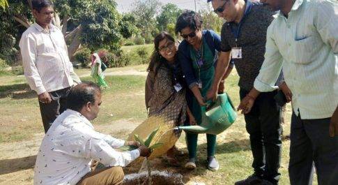 पौध रोपण कर व्यय प्रेक्षक ने दिया पर्यावरण संरक्षण का सन्देश