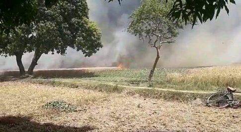 भीषण आग से कई एकड़ गेहूं की फसल हुई जलकर राख 