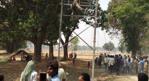 जोगिया मे विधुतस्पर्धाघात से लाईनमैन की मौत