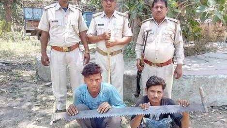जंगल में लकड़ी काट रहे दो युवकों को वन टीम ने पकड़ा
