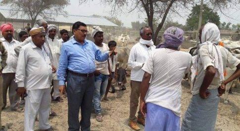 कैसरगंज उपजिलाधिकारी रामजीत मौर्या ने गौआश्रय स्थल का किया पुनः निरिक्षण।