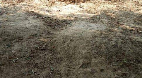 कागजों में खो गए हैं तालाब तालाबों पर भू माफियाओं का कब्जा