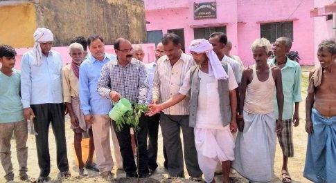 बहराइच। वृक्ष है तो हम है नही तो दुनिया खत्म है : डा देवेश