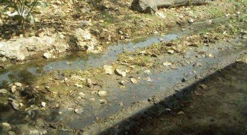 नालियां चोक सड़कों पर भरा रहता गंदा पानी