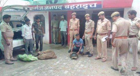 8 जिन्दा कछुए के साथ एक गिरफ्तार 