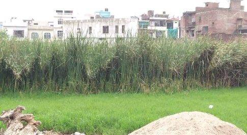 खागा का ऐतिहासिक पक्का तालाब अपनी बदहाली पर बहा रहा आंसू