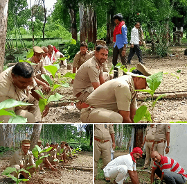 सिद्धार्थनगर। पुलिस द्वारा किया गया वृक्षारोपण