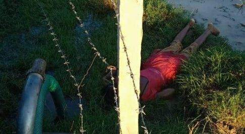 महराजगंज। फरेंदा थाना क्षेत्र में दर्दनाक हादसा धान की रोपाई करने गई चार लड़कियों सहित पांच की करंट से मौत