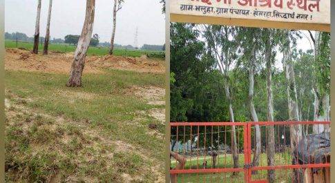 सिद्धार्थनगर। गौ आश्रय व्यवस्था में खेसरहा ग्राम में स्थित गौ शाले पर एक बार आईये तो सही