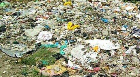 महराजगंज। कूड़े के ढेर पर मीट का कारोबार, बिमारियों को दे रहा दावत