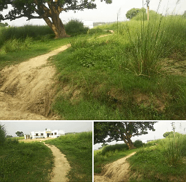 सिद्धार्थनगर। स्कूल तक जाने के लिये नहीं है मार्ग
