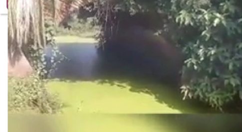 सिद्धार्थनगर। बाँसी में स्थित शेरशाह सूरी द्वारा बनवाया गया पुल क्षतिग्रस्त अवस्था में