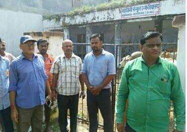 महाराजगंज। बृजमनगंज कस्बे में घूम रहे छुट्टे गायों को जनप्रतिनिधियों के सहयोग से गौ सदन भेजा गया