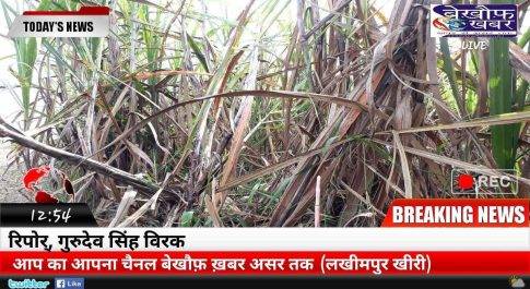 लखीमपुर खीरी। किसानों के लिए खुशखबरी