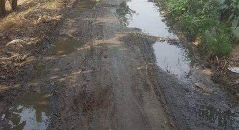 महराजगंज। विकास के नाम पर आंसू बहाता लक्ष्मीनगर मार्ग, जिम्मेदार बने मौन