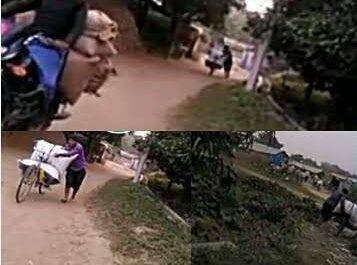 महराजगंज। भारत नेपाल सीमा भगवानपुर मे अनाजों की हो रही तस्करी प्रशासन मौन
