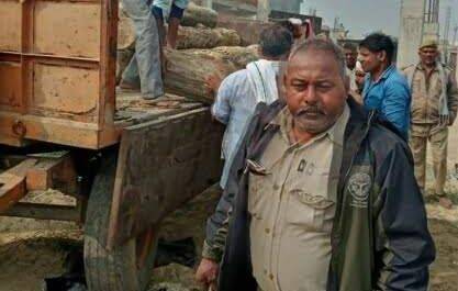 महराजगंज। वनविभाग की छापेमारी मे 27 बोटा किमती लकड़ी बरामद