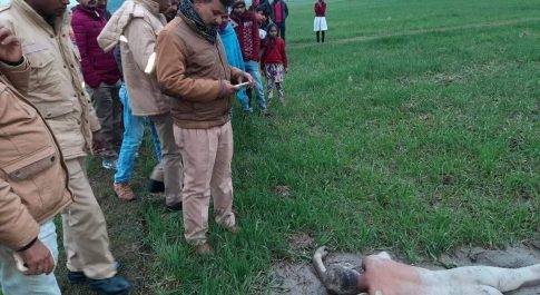 महराजगंज। कोल्हई थाना क्षेत्र के खेत में मिली अग्यात युवक की नग्न लाश