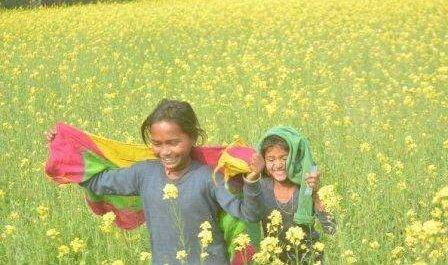गोंडा : सखी आयो वसंत,वसंत ऋतृ शुरू हो रही है।