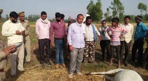 पीलीभीत। भ्रमण पर निकले डीएम समेत अन्य अधिकारिय, लोगों की भीड़ देख कर ही नाराज