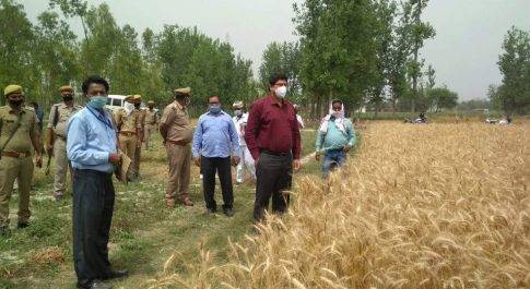 बहराइच। क्राप कटिंग के लिए ग्राम बेगमपुर पहुॅचे जिलाधिकारी शम्भु कुमार 