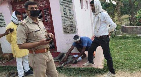 महराजगंज। ब्रेकिंग न्यूज:युवक के बंदूक से चली गोली मे काले बंदर की हुई मौत,आरोपी गिरफ्तार