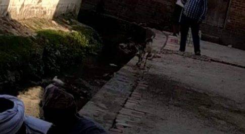 बेखौफ खबर की खबर का हुआ बड़ा असर