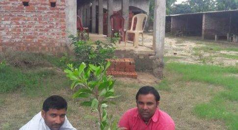 महराजगंज/गोरखपुर। प्रबंधक द्वारा विधालय परिसर में किया गया वृक्षारोपण