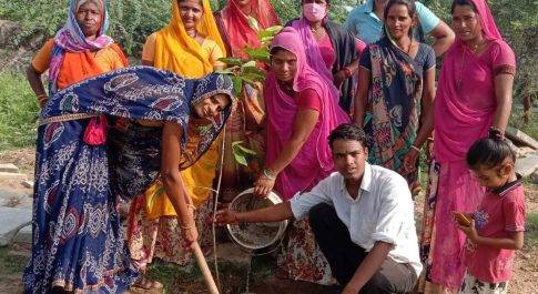 पर्यावरण संरक्षण के लिए लगाए पेड़ पौधे