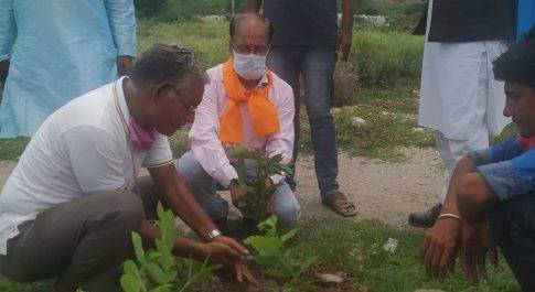 पेड लगाये, व्यक्तिगत व सामुहिक सहयोग से