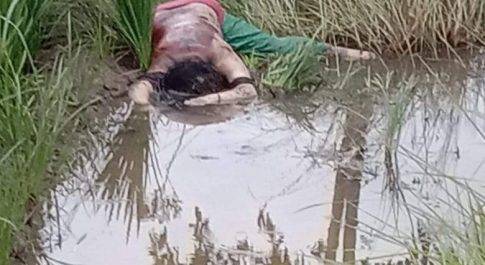 महराजगंज/देवरिया। अज्ञात युवती का शव मिला खेत मे,हत्या की आशंका