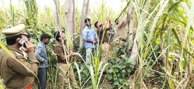 जनपद शाहजहांपुर तीन दिन से गायब युवक का फंदे पर लटकता मिला शव