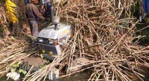 महाराजगंज।गन्ने से लदी ओवरलोडेड ट्रैक्टर ट्राली घुसी नाले में, बाल – बाल बची ड्राइवर की जान