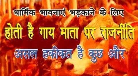 असल हकीकत से परे धार्मिक भावनाएं भड़काने के लिए गाय माता पर राजनीति जारी,धड़ल्ले से बिकता है अवैधमांस