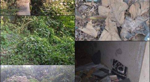 नौतनवा। केवल कागजों में हो रही स्वच्छ भारत मिशन की खनापूर्ती