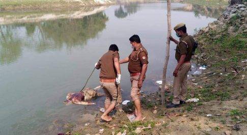 फरेंदा। रोहिन नदी में 48 बर्षीय अज्ञात पुरुष की मिली लाश
