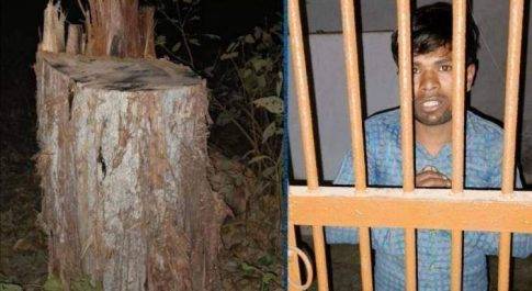 महराजगंज। जंगल में बेशकीमती पेड़ काट रहा तस्कर गिरफ्तार वन कर्मियों को चकमा देकर दो फरार